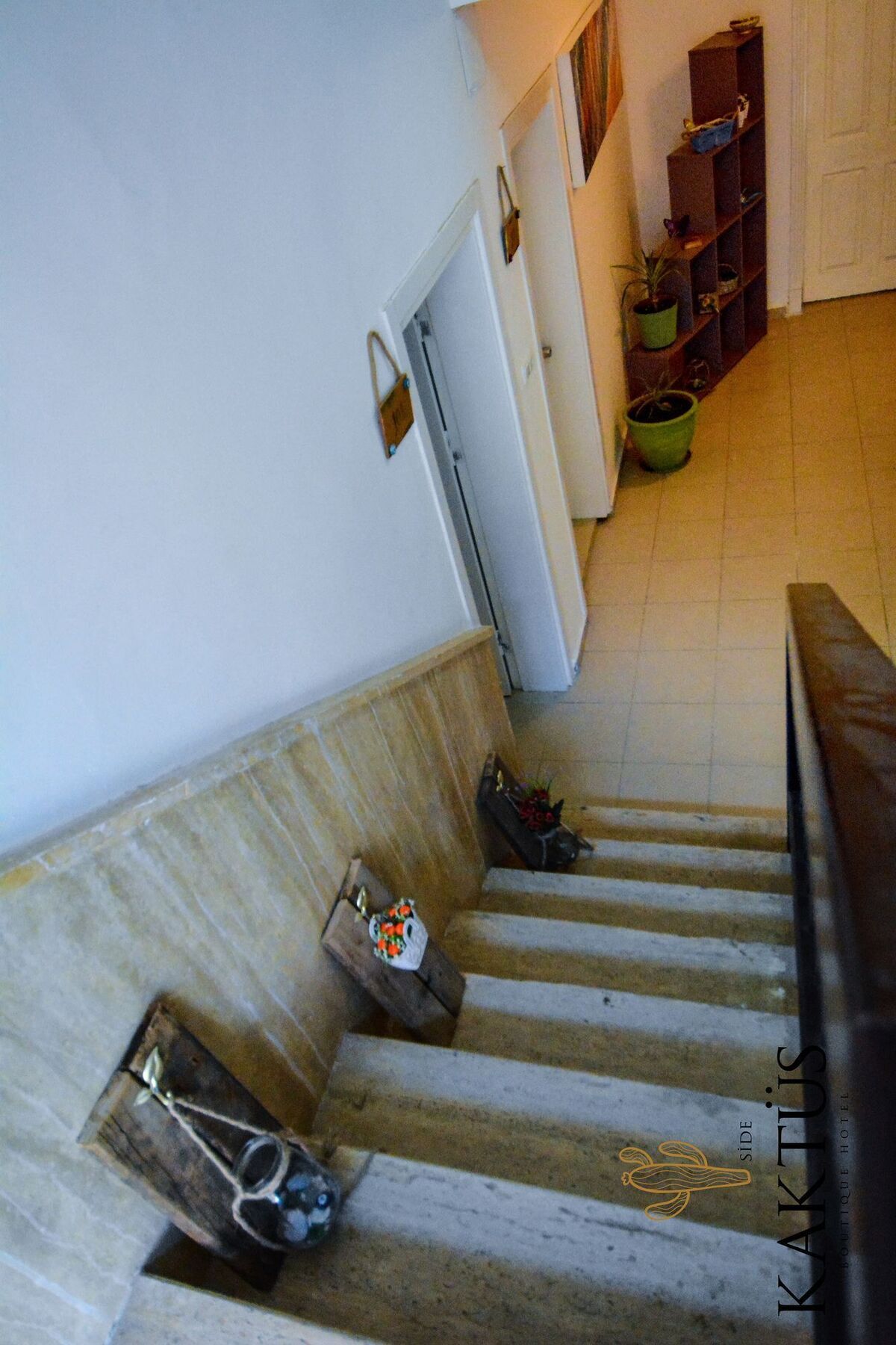 Kaktues Boutique Hotel 锡德 外观 照片